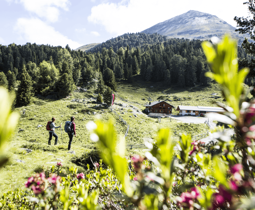 Wanderer in Frühlingslandschaft mit Bergen und Blumen.